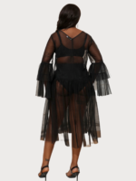 Sheer Black Dress-irislace (4) (1)